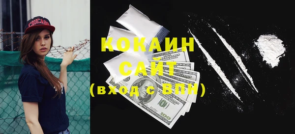 индика Балабаново