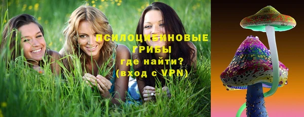 индика Балабаново