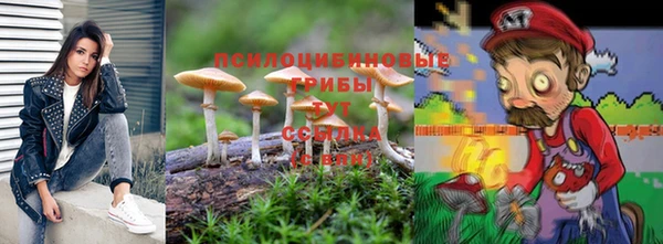 бутират Баксан