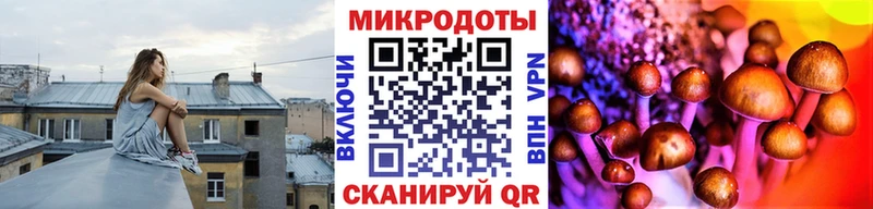 Галлюциногенные грибы Psilocybe  Избербаш 